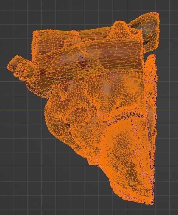 3D Model of Heart Chambers 2 pack 3D model_41
