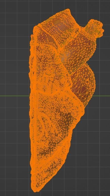 3D Model of Heart Chambers 2 pack 3D model_66