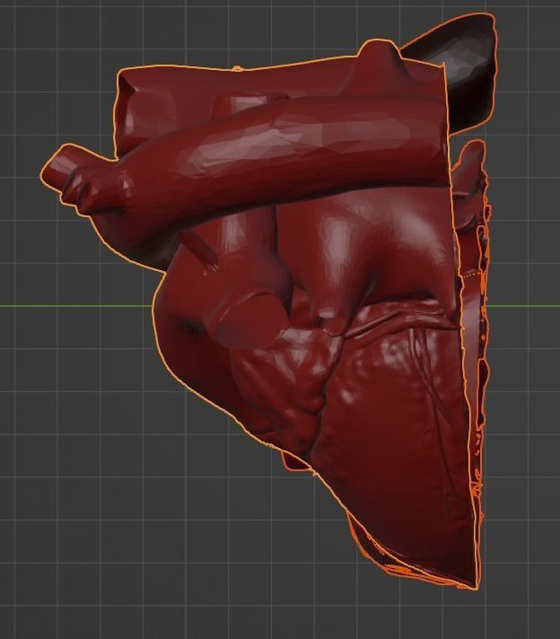 3D Model of Heart Chambers 2 pack 3D model_37