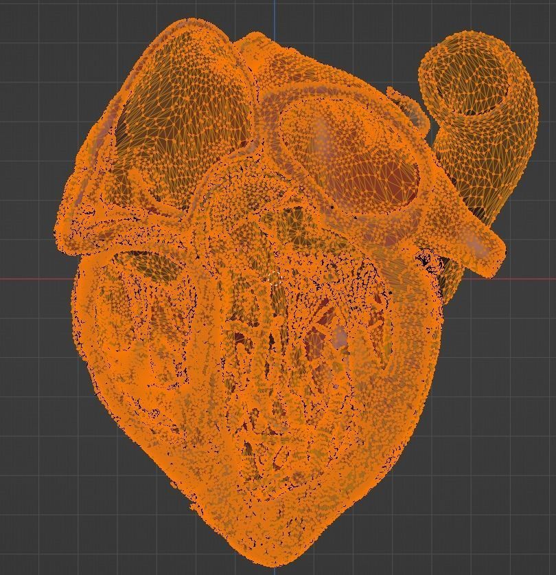 3D Model of Heart Chambers 2 pack 3D model_34