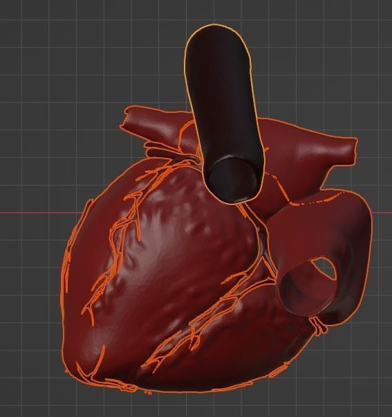 3D Model of Heart Chambers 2 pack 3D model_59