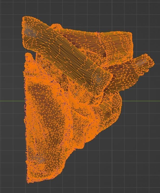 3D Model of Heart Chambers 2 pack 3D model_35