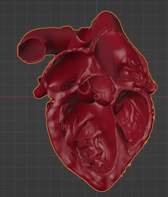 3D Model of Heart Chambers 2 pack 3D model_54