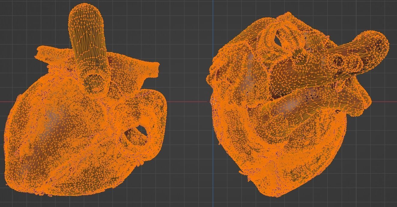 3D Model of Heart Chambers 2 pack 3D model_53