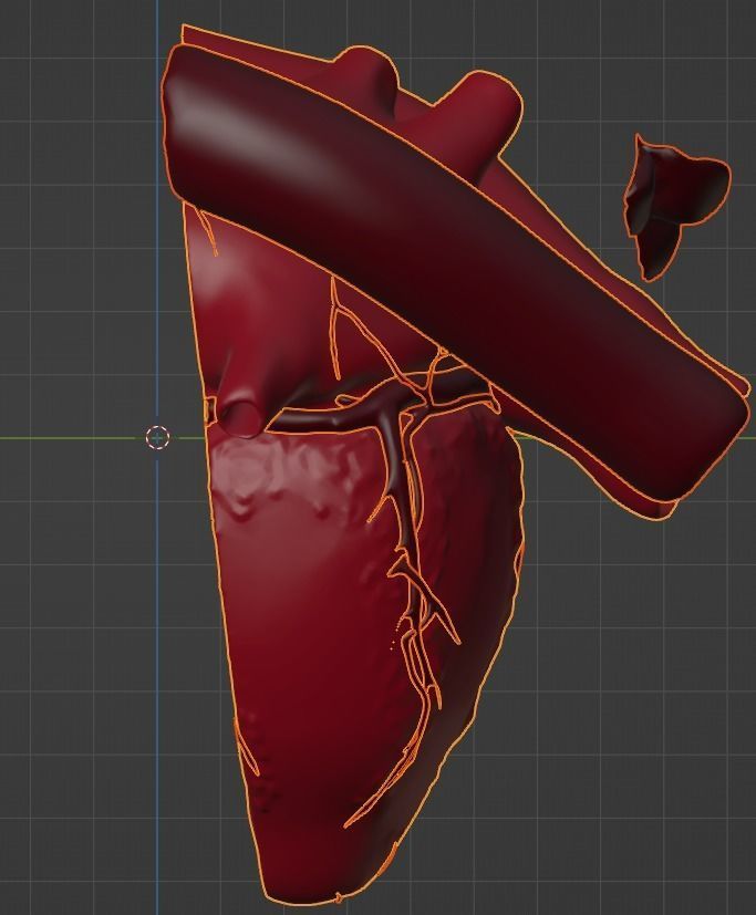 3D Model of Heart Chambers 2 pack 3D model_36