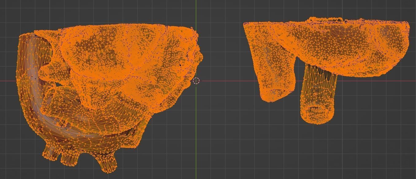 3D Model of Heart Chambers 2 pack 3D model_49