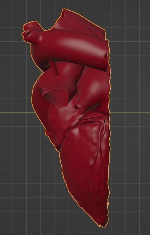 3D Model of Heart Chambers 2 pack 3D model_68