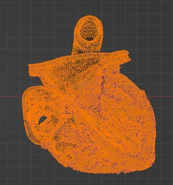 3D Model of Heart Chambers 2 pack 3D model_57