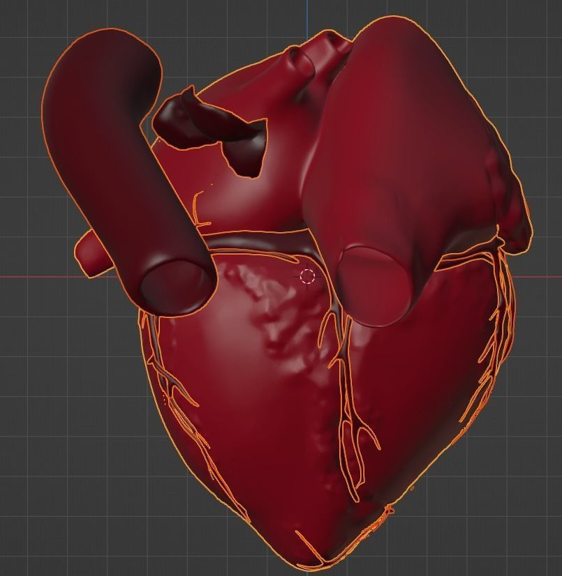 3D Model of Heart Chambers 2 pack 3D model_50
