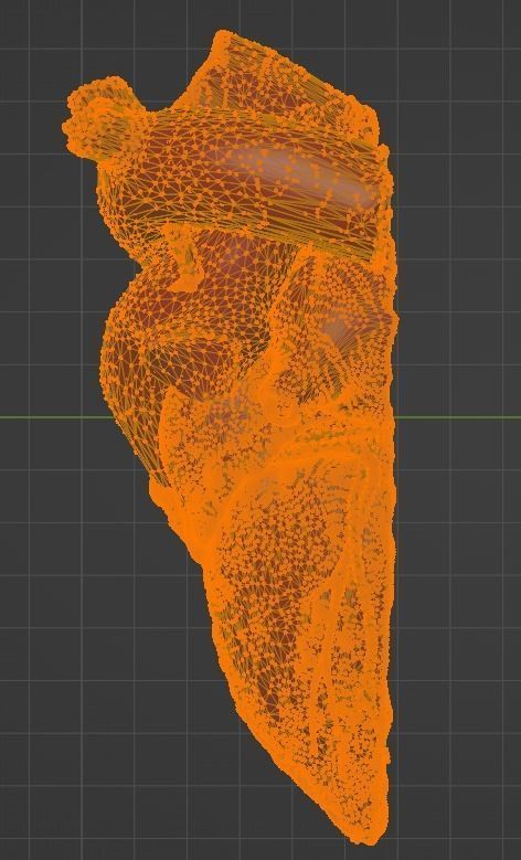 3D Model of Heart Chambers 2 pack 3D model_70