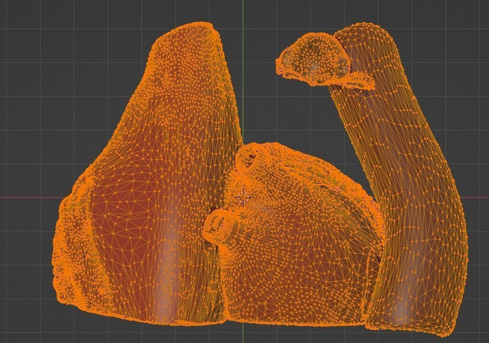 3D Model of Heart Chambers 2 pack 3D model_48