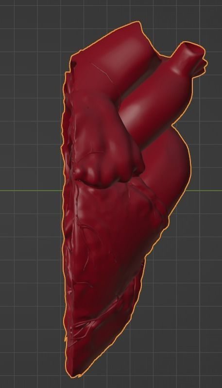 3D Model of Heart Chambers 2 pack 3D model_64