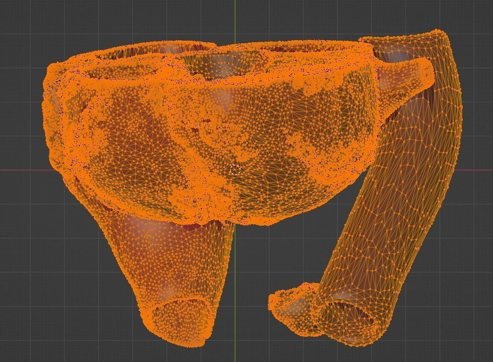 3D Model of Heart Chambers 2 pack 3D model_44