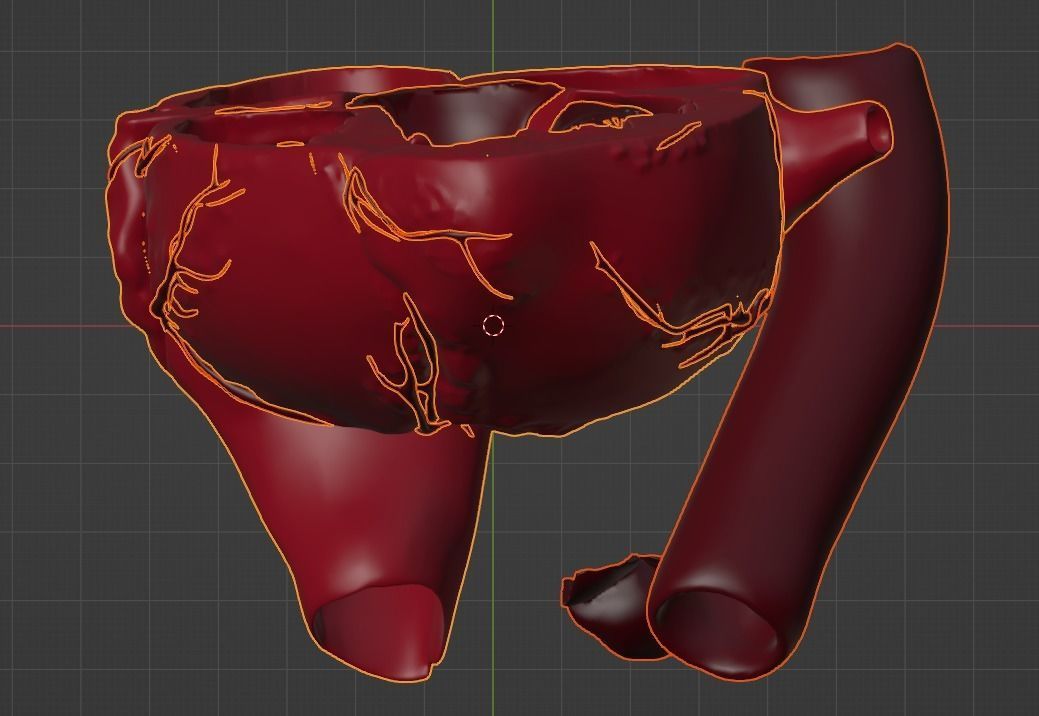 3D Model of Heart Chambers 2 pack 3D model_42
