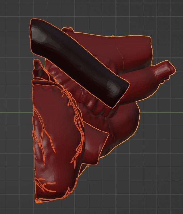 3D Model of Heart Chambers 2 pack 3D model_33