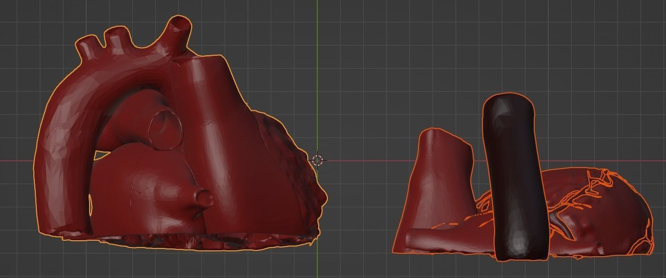 3D Model of Heart Chambers 2 pack 3D model_43