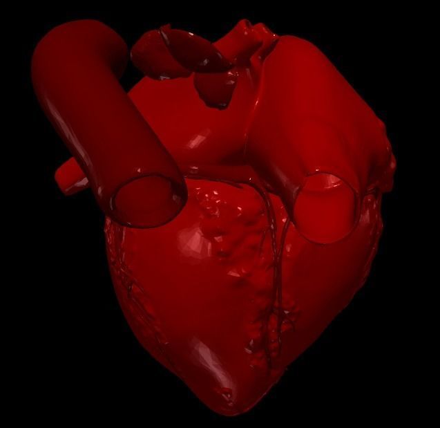 3D Model of Heart Chambers 2 pack 3D model_81