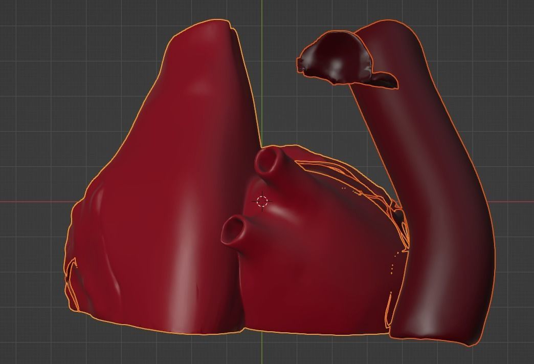 3D Model of Heart Chambers 2 pack 3D model_46