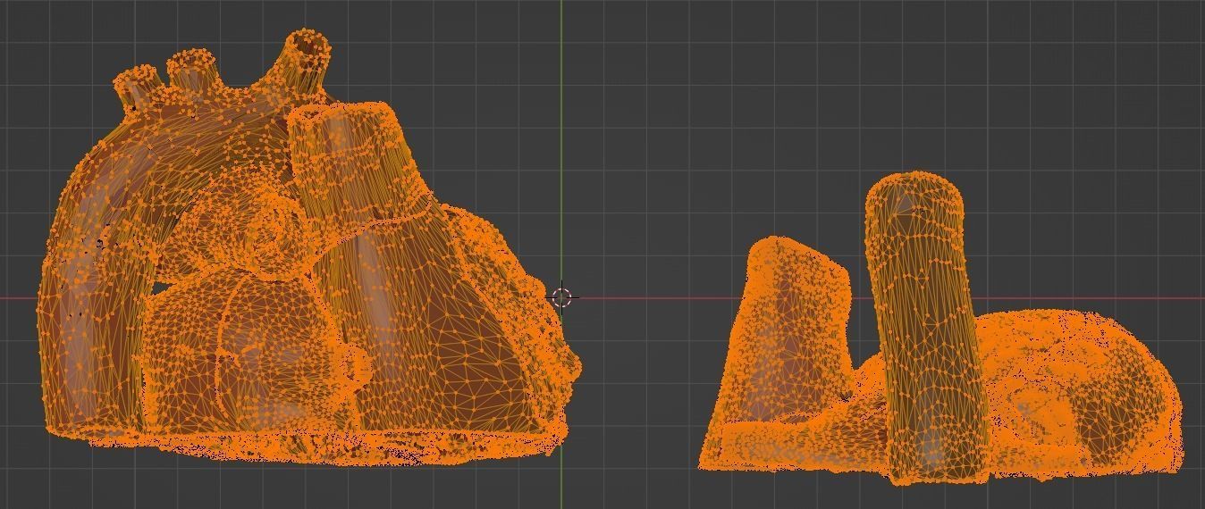 3D Model of Heart Chambers 2 pack 3D model_45