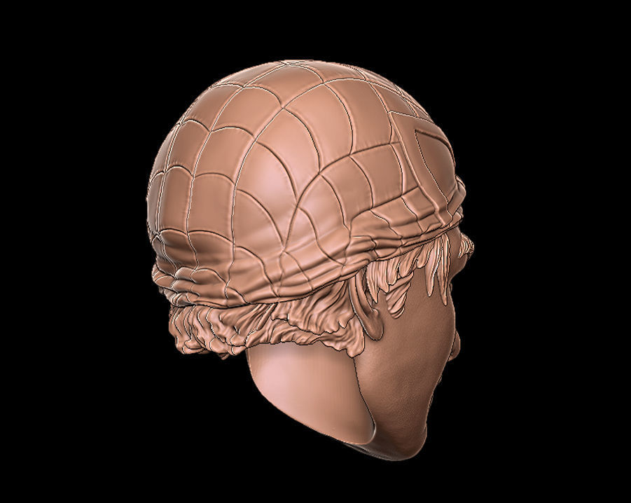 Spiderman Peter Parker Head 3D print model_3
