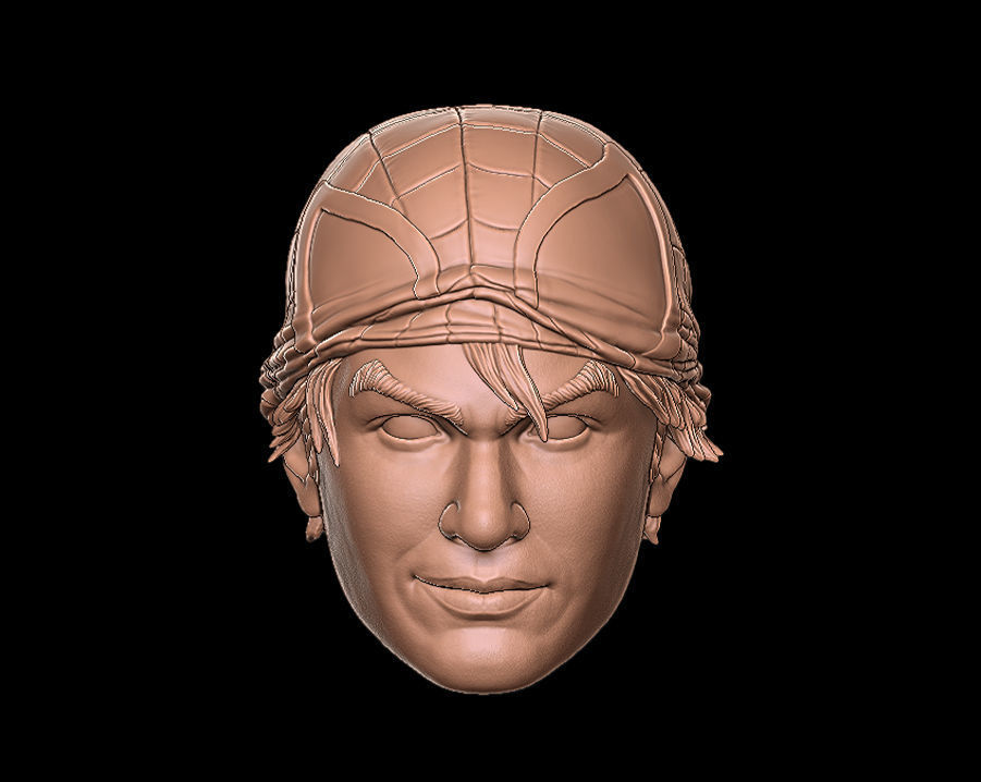 Spiderman Peter Parker Head 3D print model_1