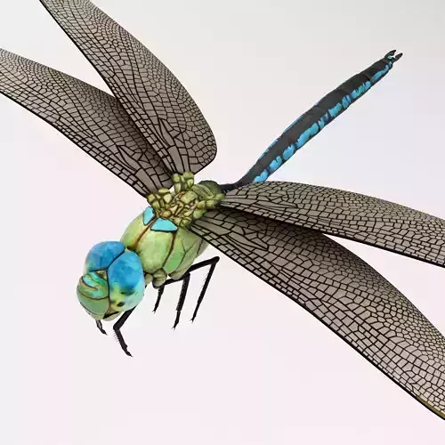 Anax Imperator Rigged