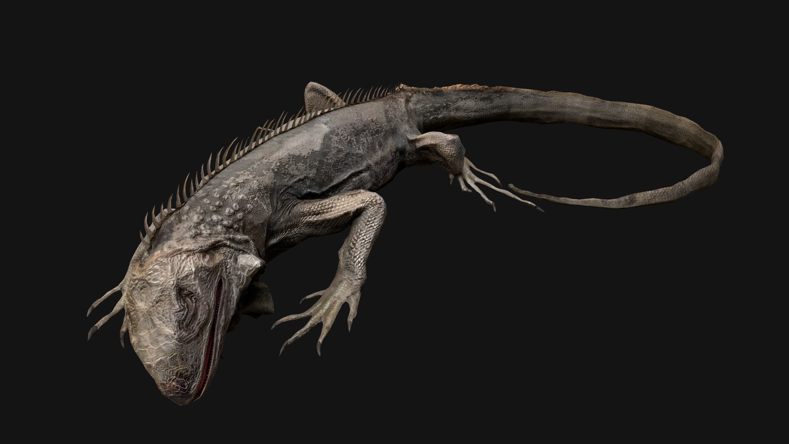 Iguana Reptile Animated Low-poly 3D model_38