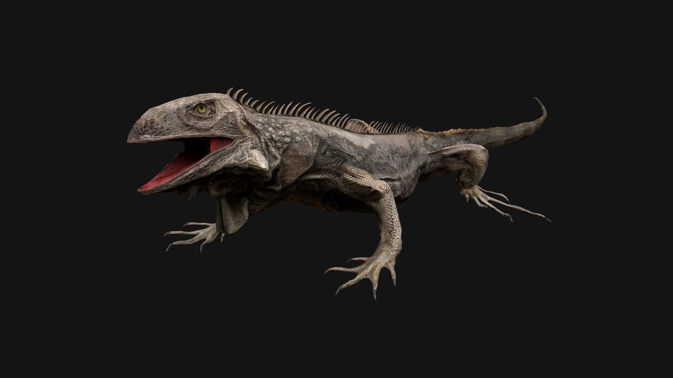 Iguana Reptile Animated Low-poly 3D model_16