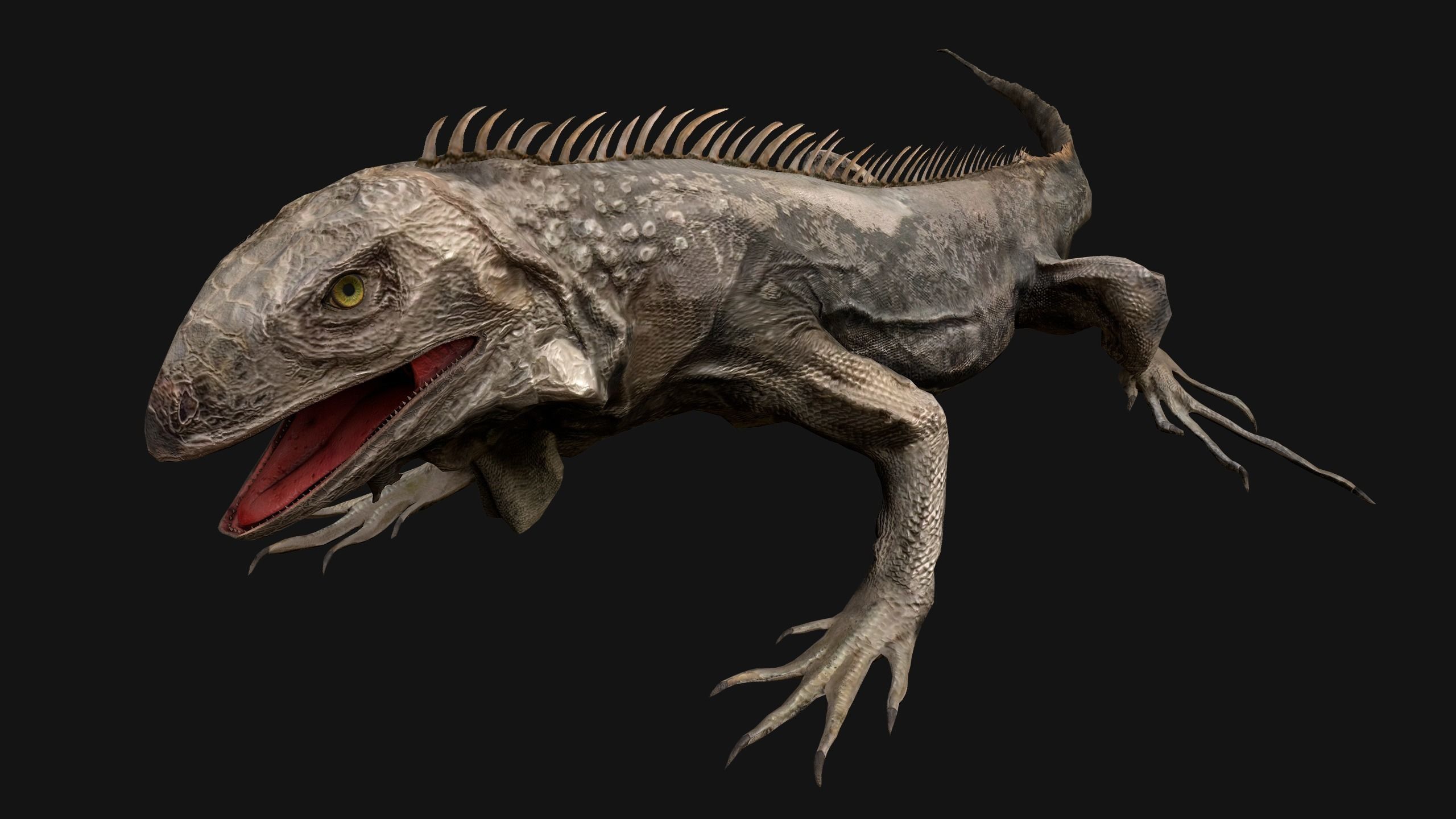 Iguana Reptile Animated Low-poly 3D model_8