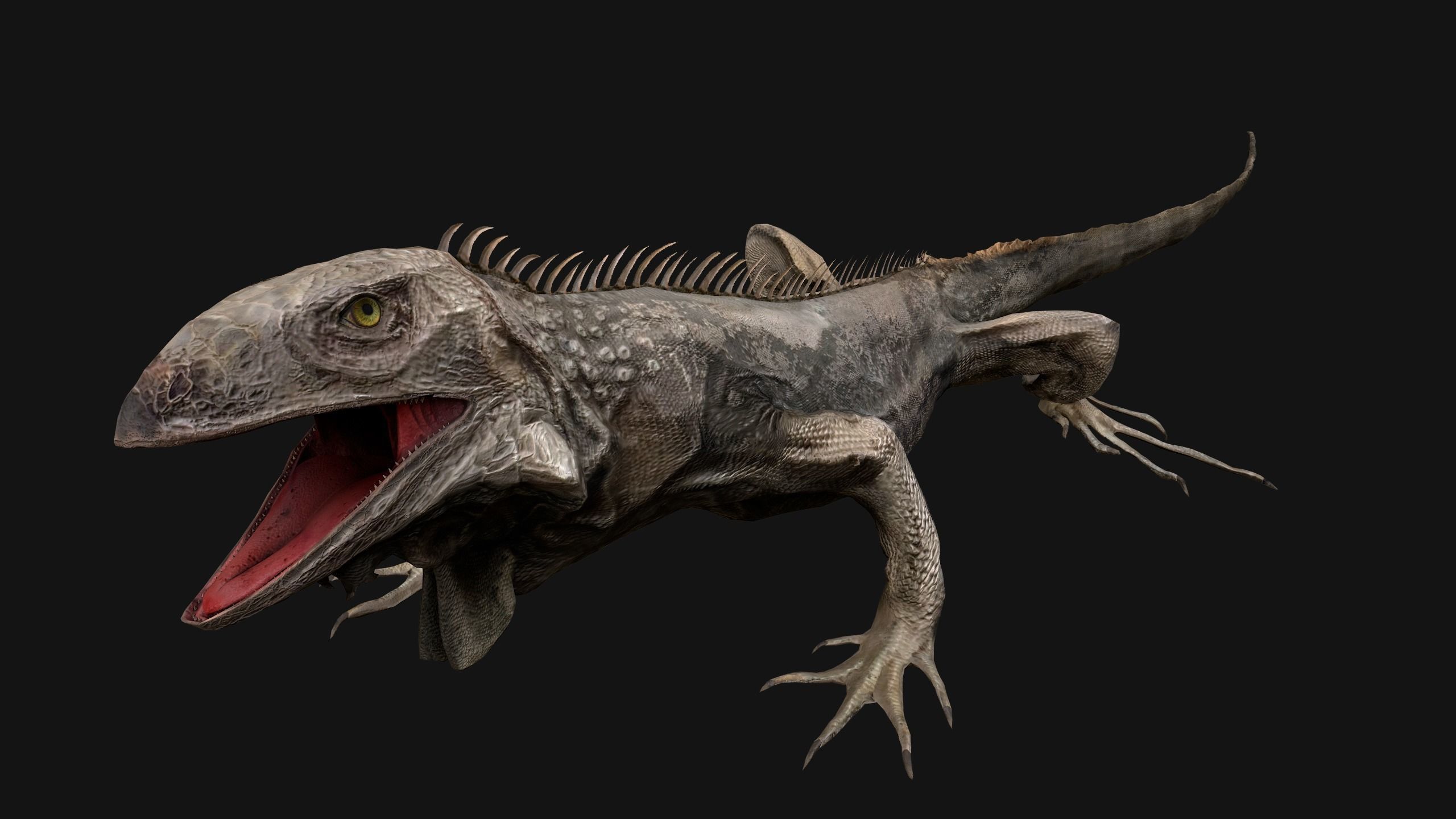 Iguana Reptile Animated Low-poly 3D model_2
