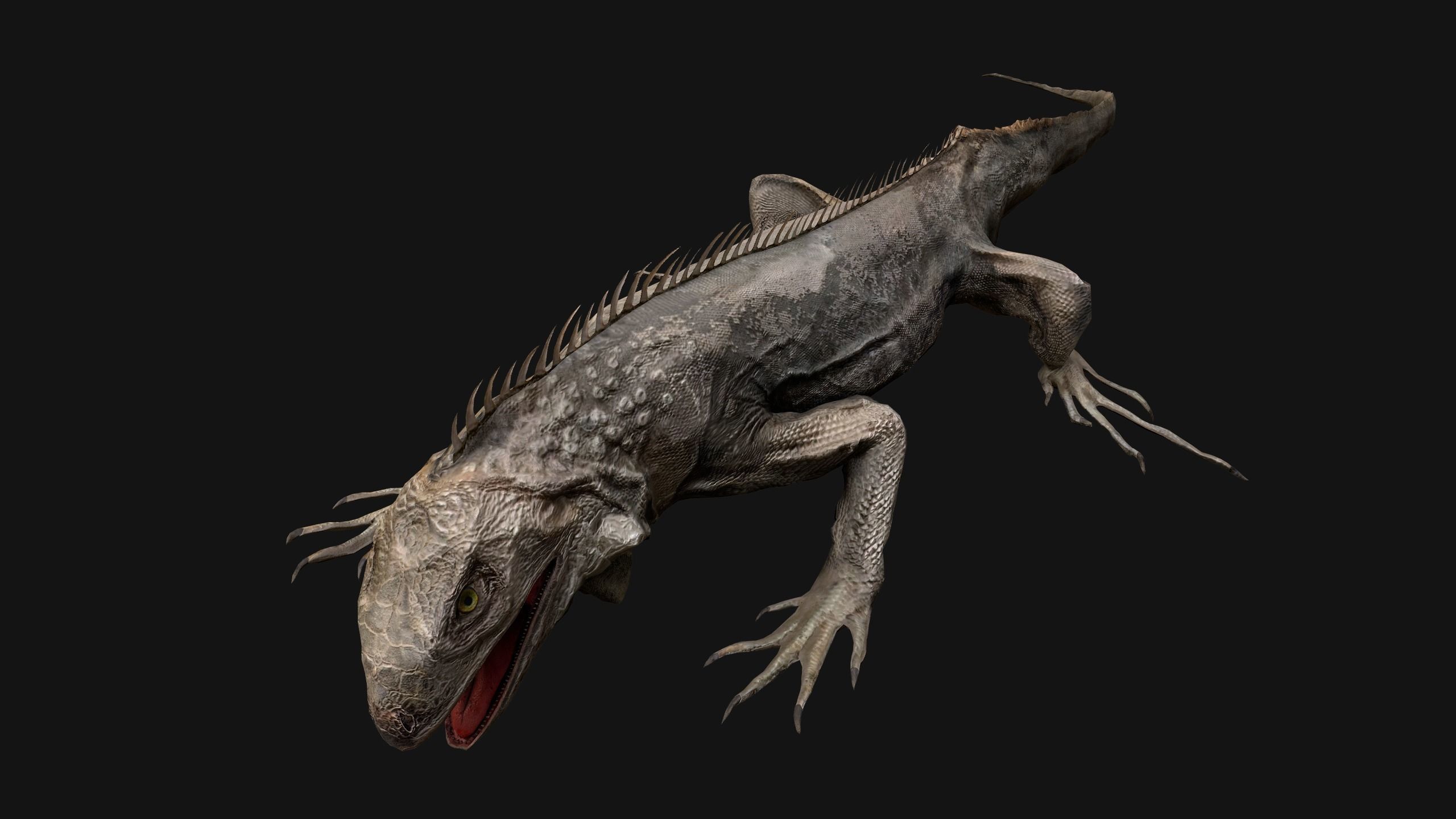 Iguana Reptile Animated Low-poly 3D model_42
