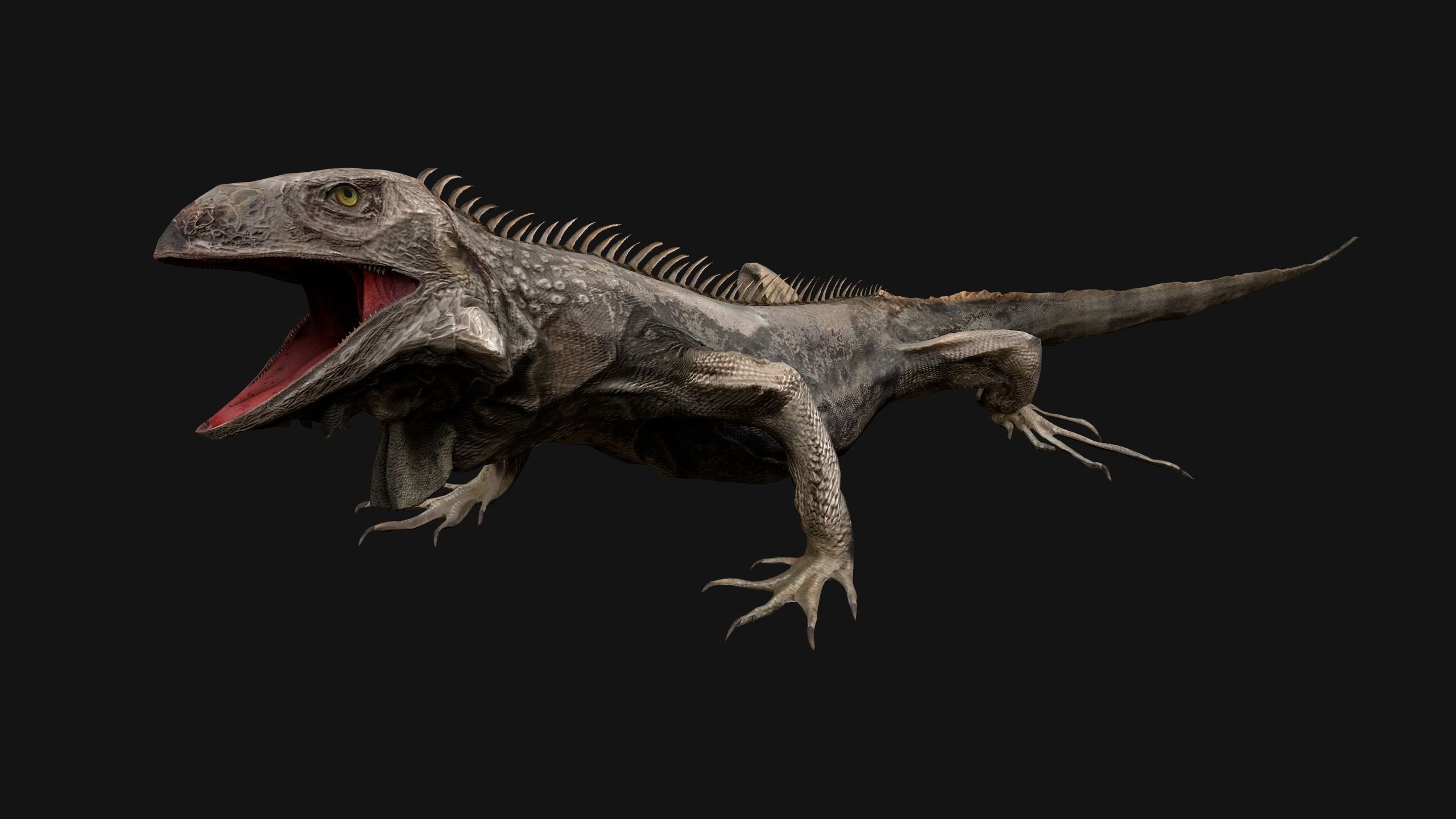 Iguana Reptile Animated Low-poly 3D model_17