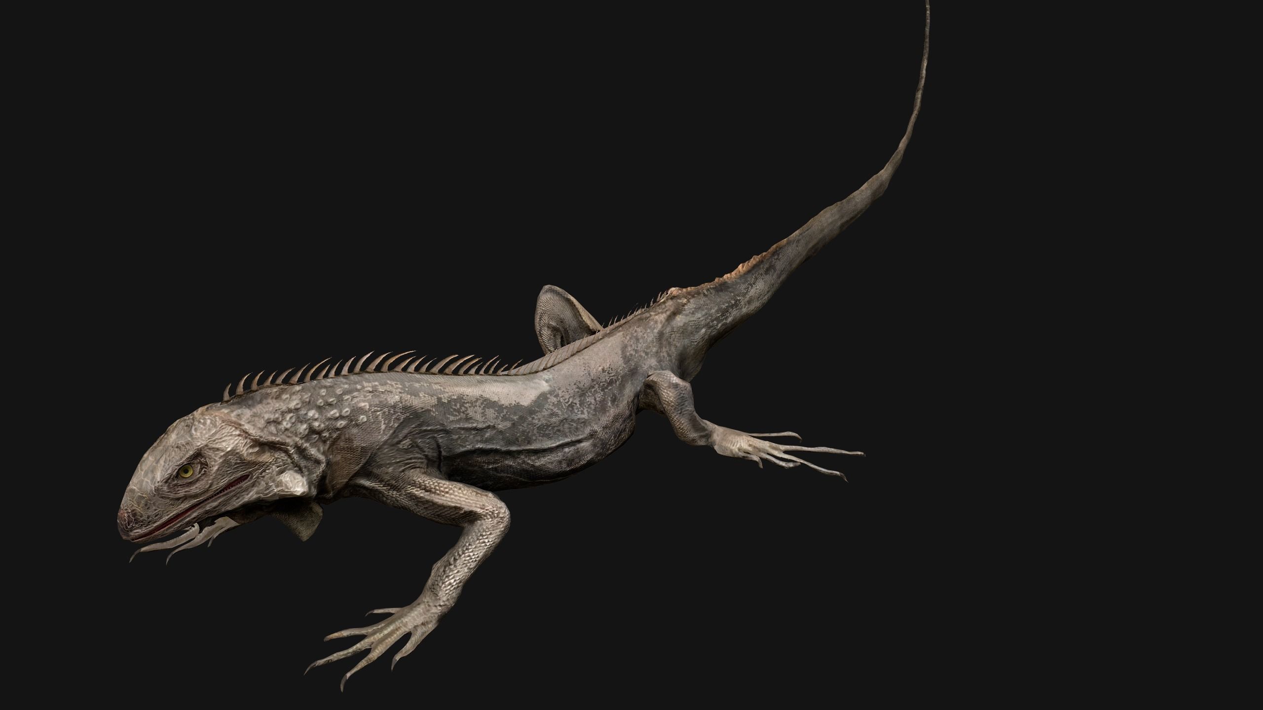 Iguana Reptile Animated Low-poly 3D model_12