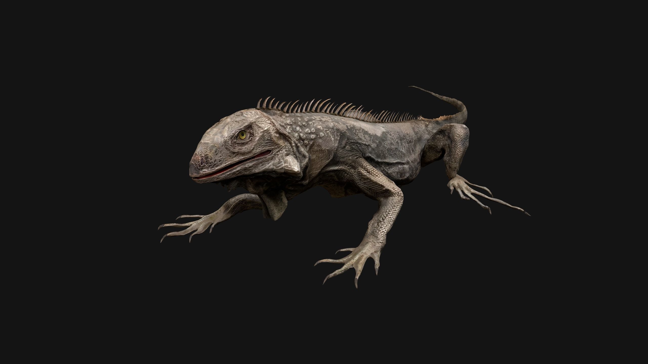 Iguana Reptile Animated Low-poly 3D model_15