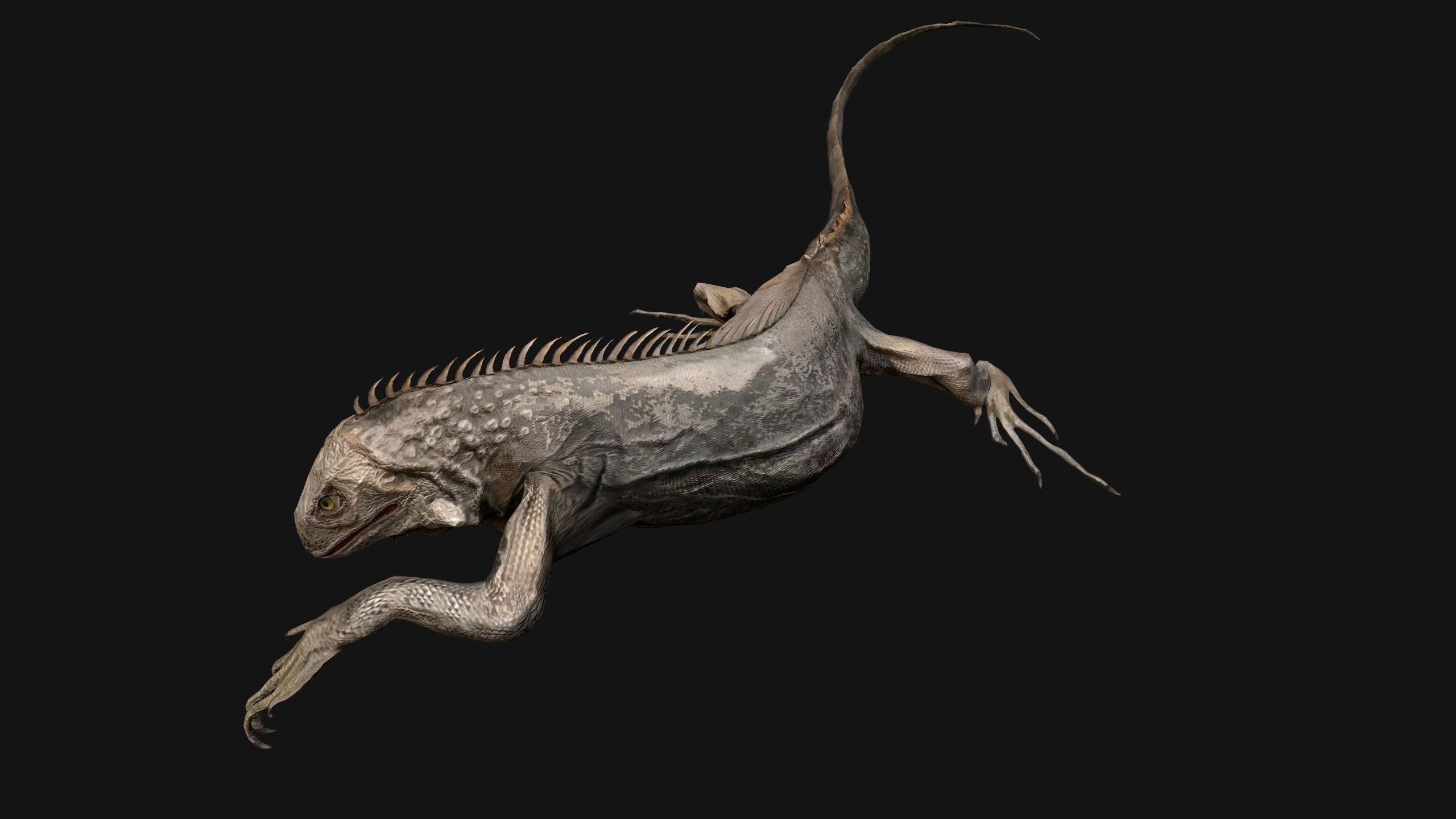 Iguana Reptile Animated Low-poly 3D model_23