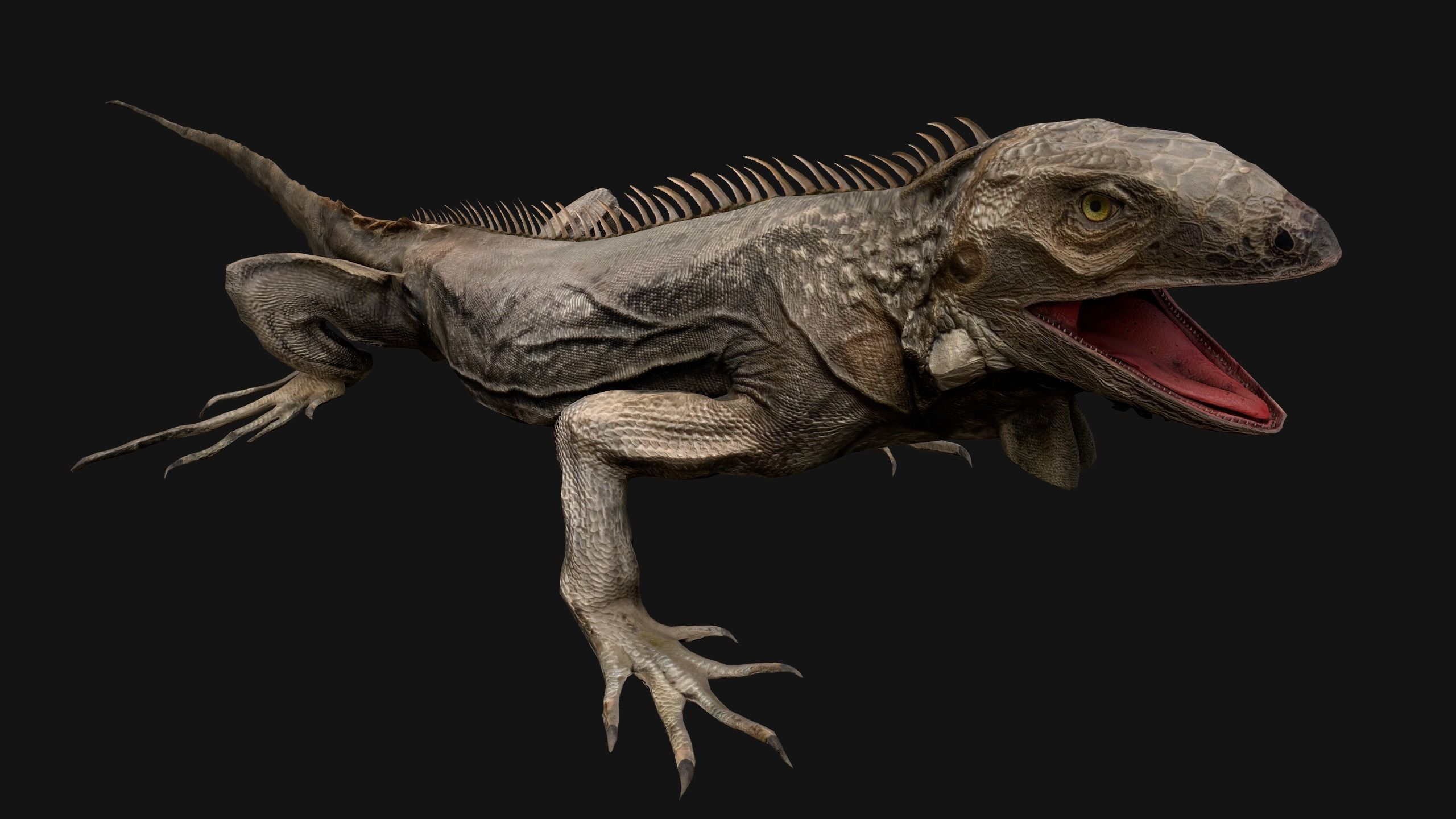 Iguana Reptile Animated Low-poly 3D model_3