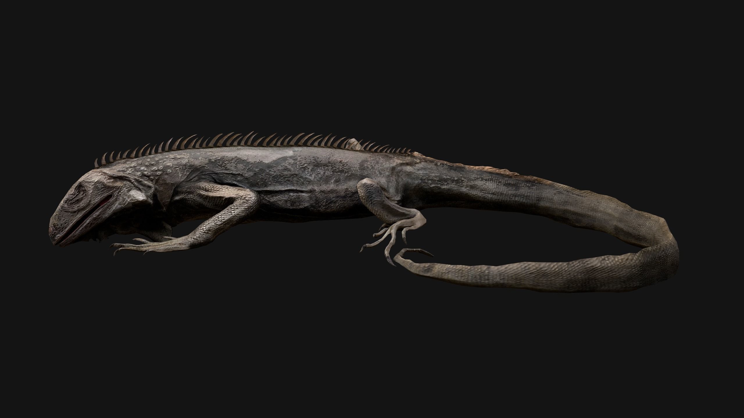 Iguana Reptile Animated Low-poly 3D model_46