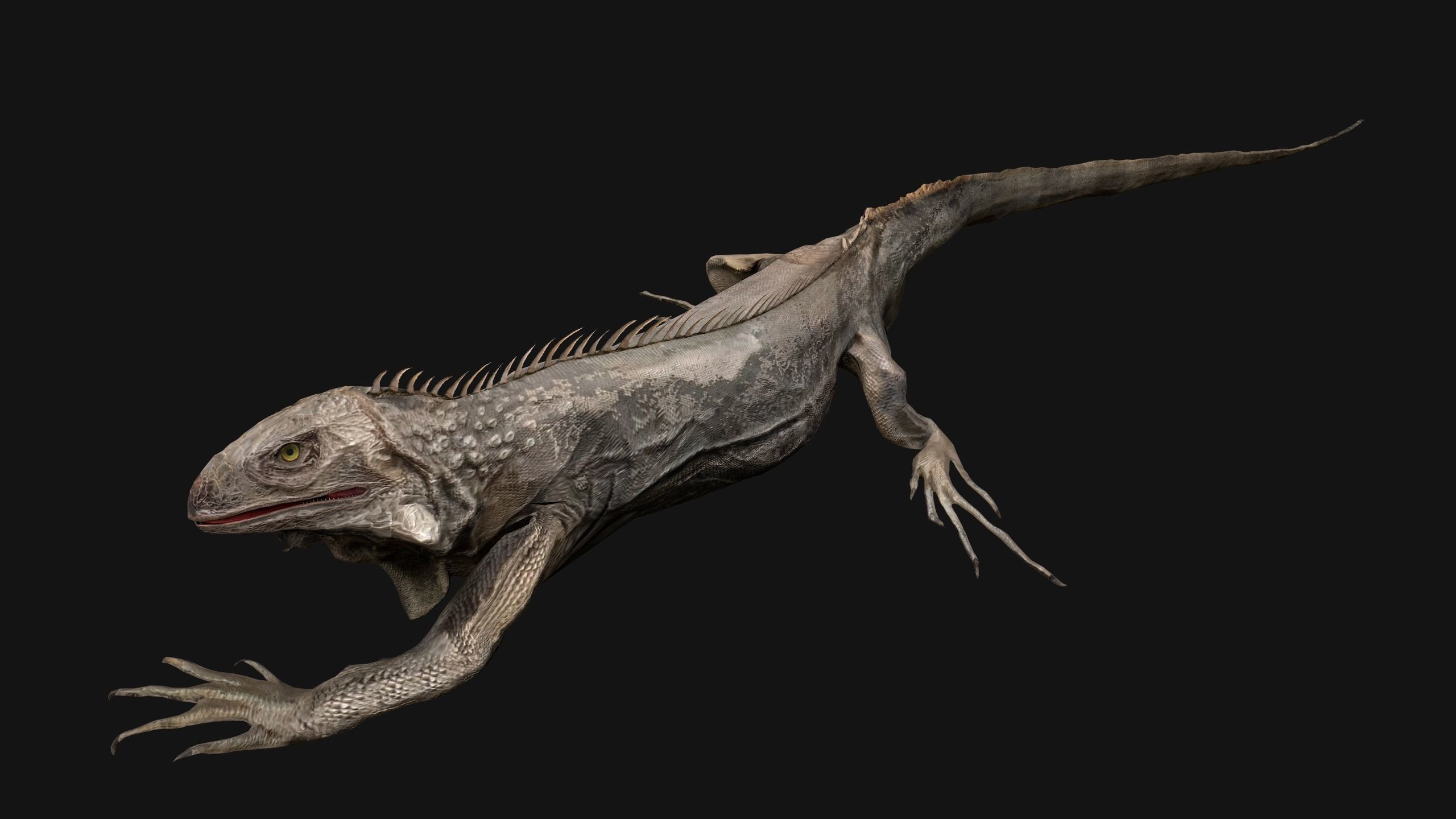 Iguana Reptile Animated Low-poly 3D model_22