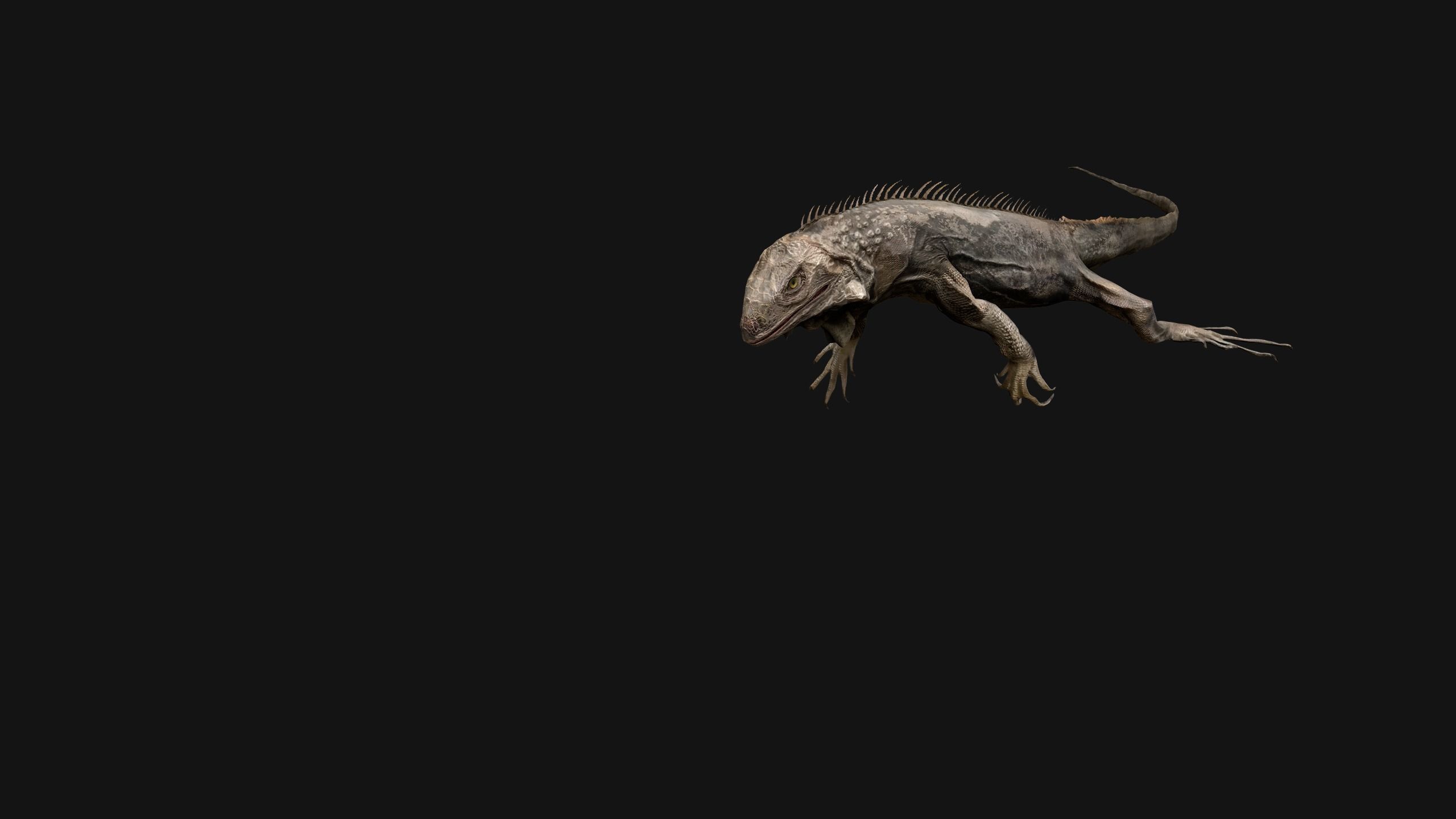 Iguana Reptile Animated Low-poly 3D model_10