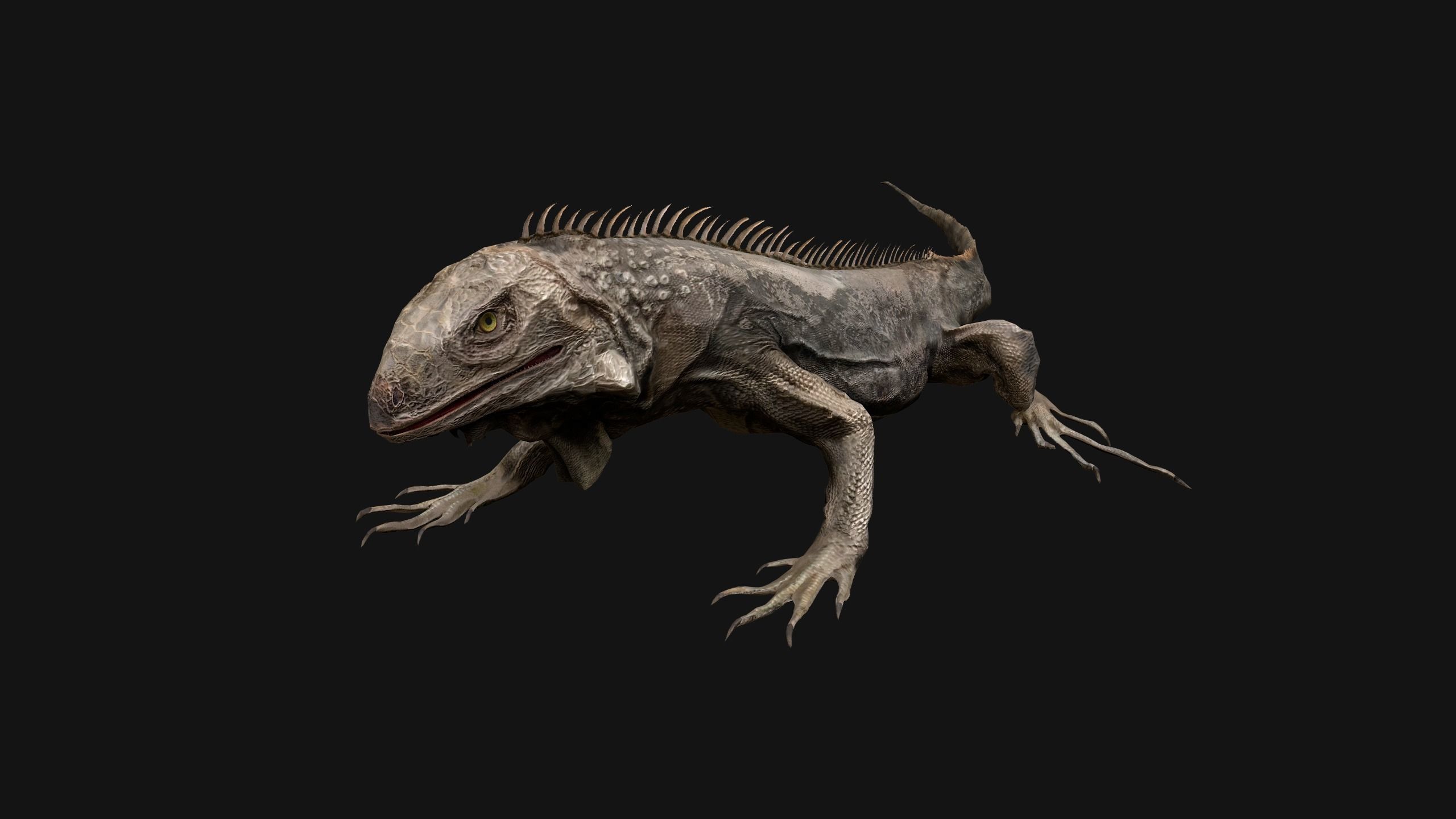 Iguana Reptile Animated Low-poly 3D model_14