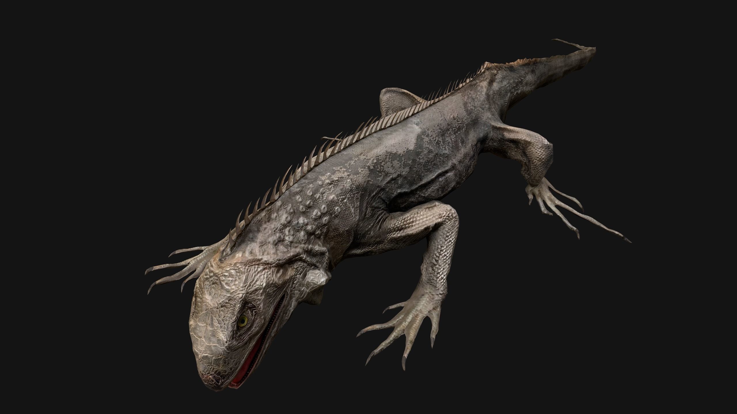 Iguana Reptile Animated Low-poly 3D model_44