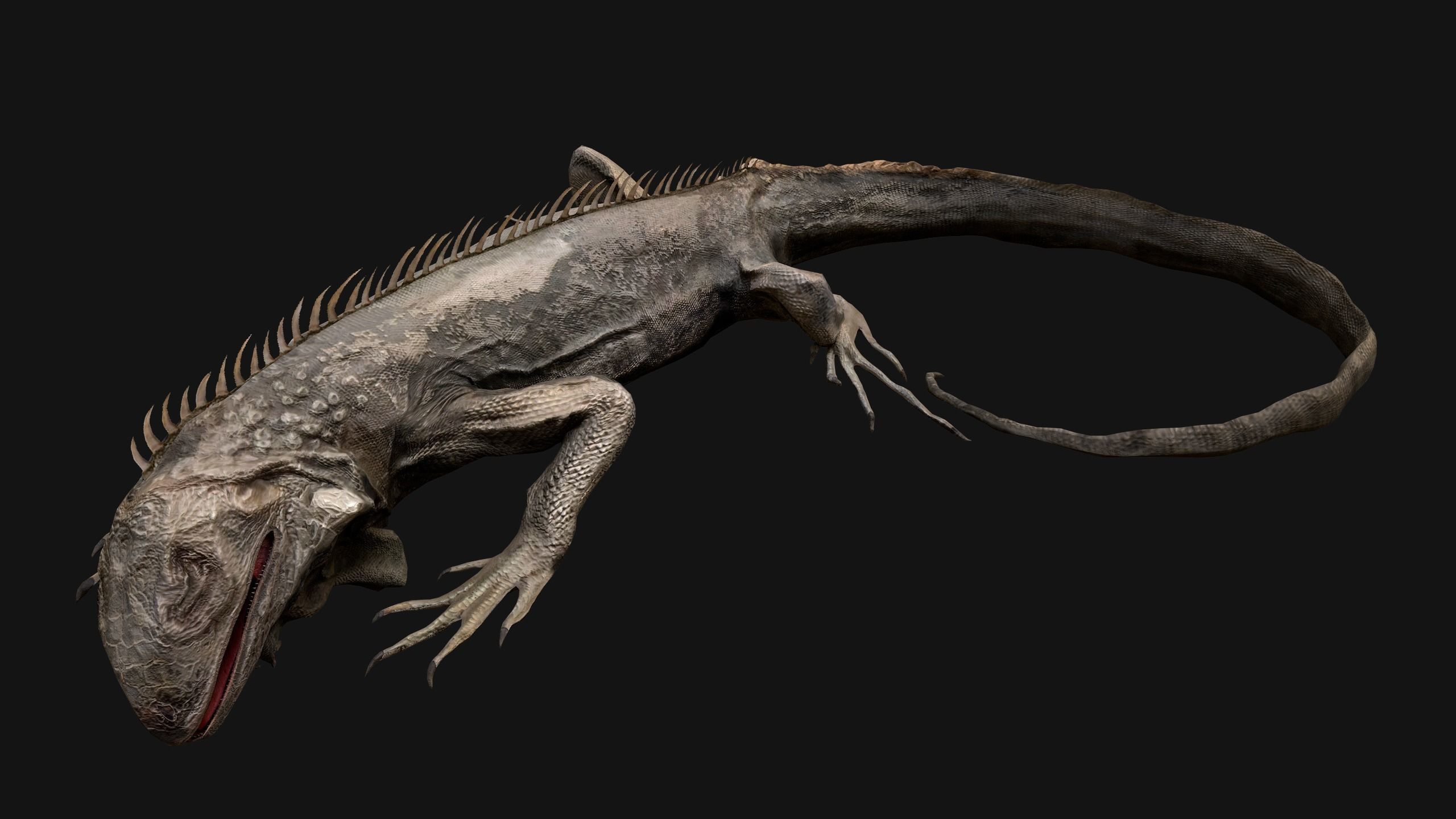 Iguana Reptile Animated Low-poly 3D model_4