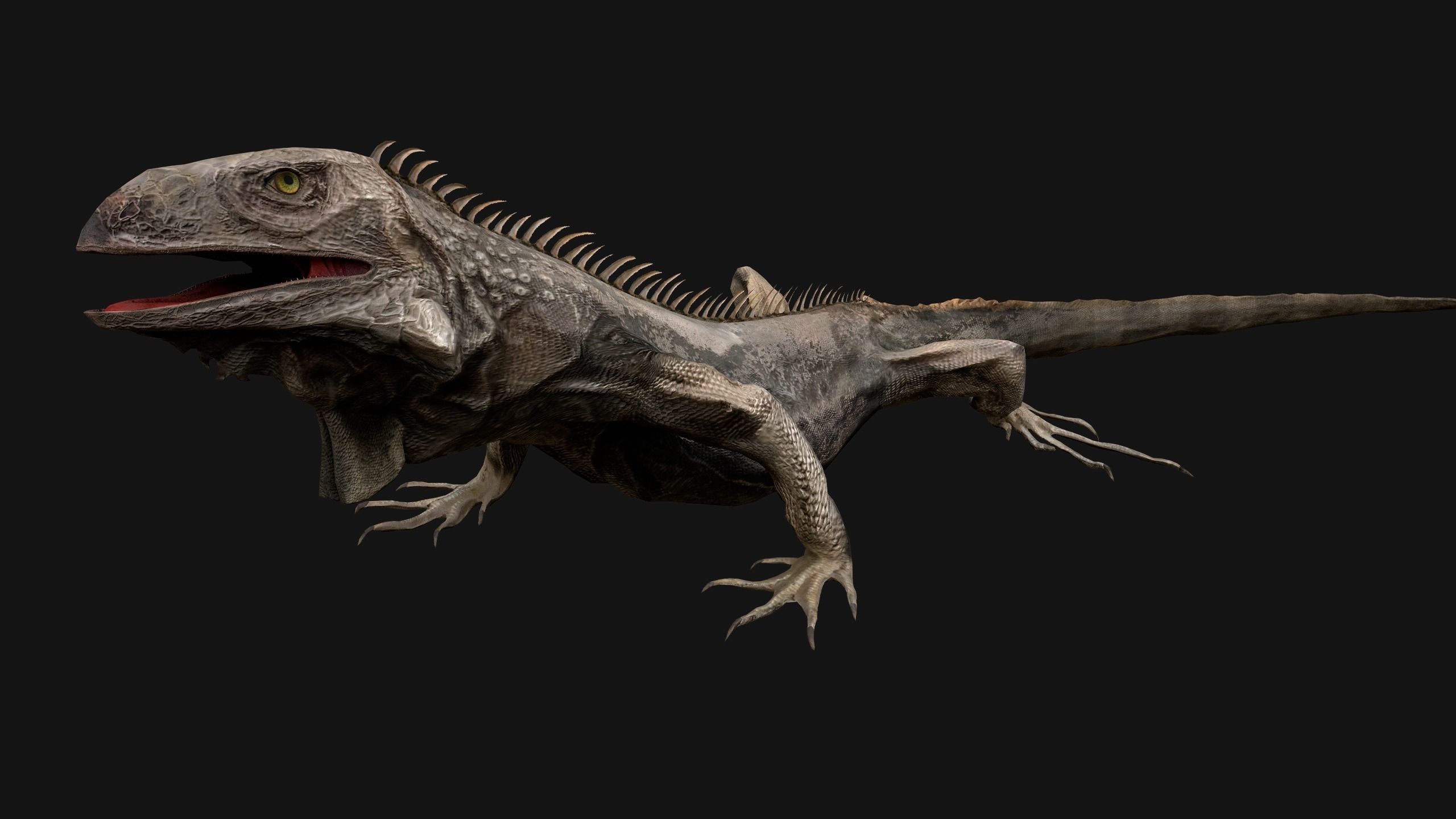 Iguana Reptile Animated Low-poly 3D model_18