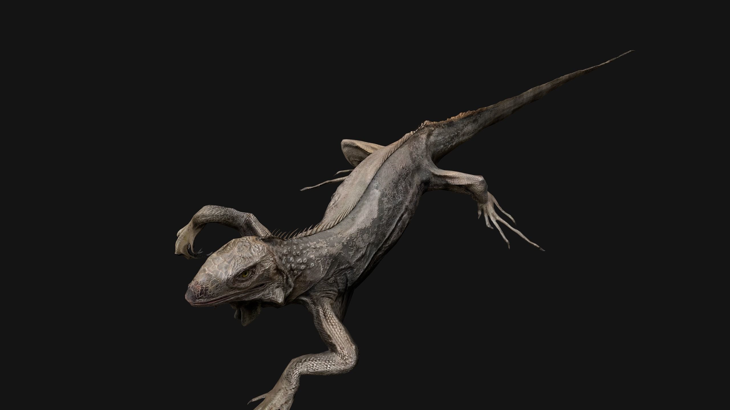 Iguana Reptile Animated Low-poly 3D model_27