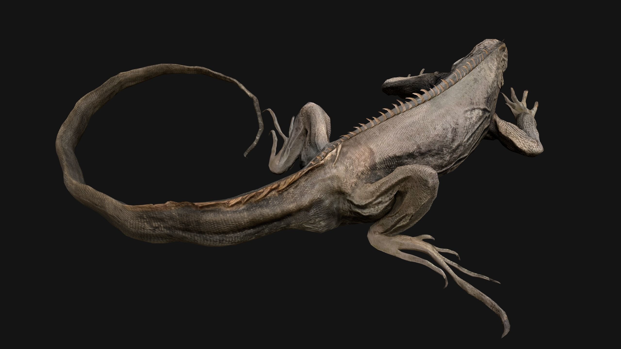 Iguana Reptile Animated Low-poly 3D model_5