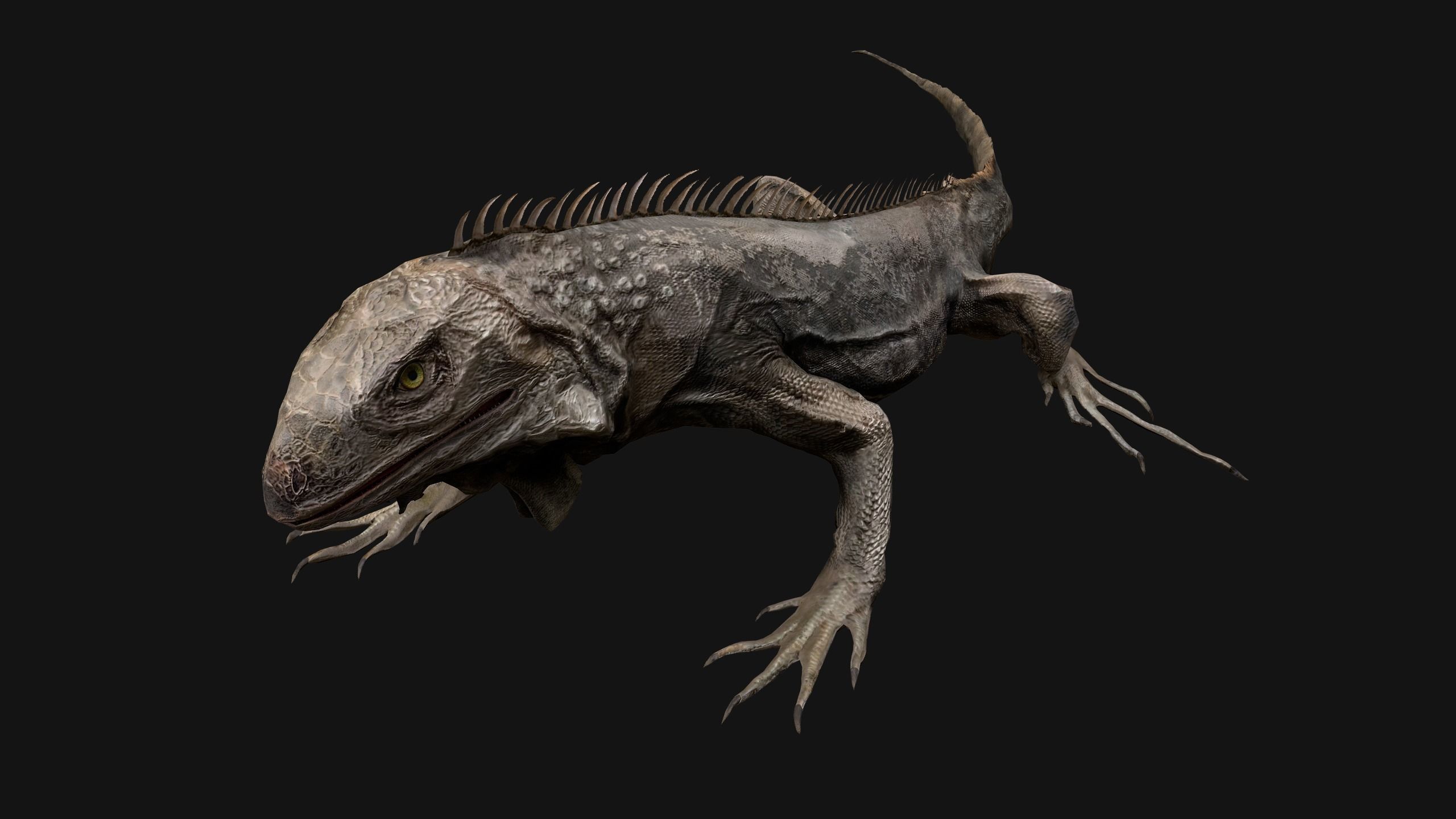 Iguana Reptile Animated Low-poly 3D model_39