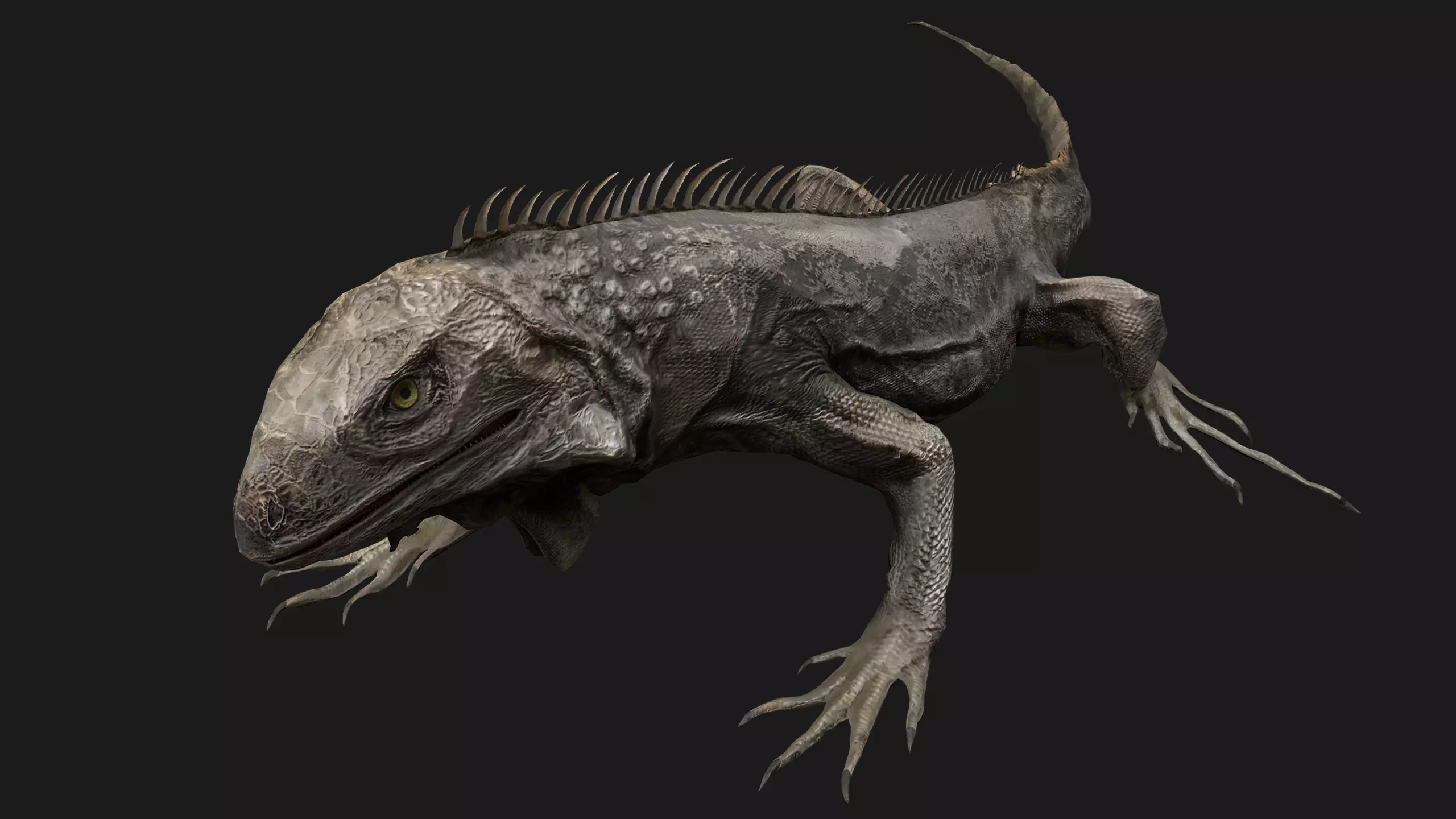 Iguana Reptile Animated Low-poly 3D model_0