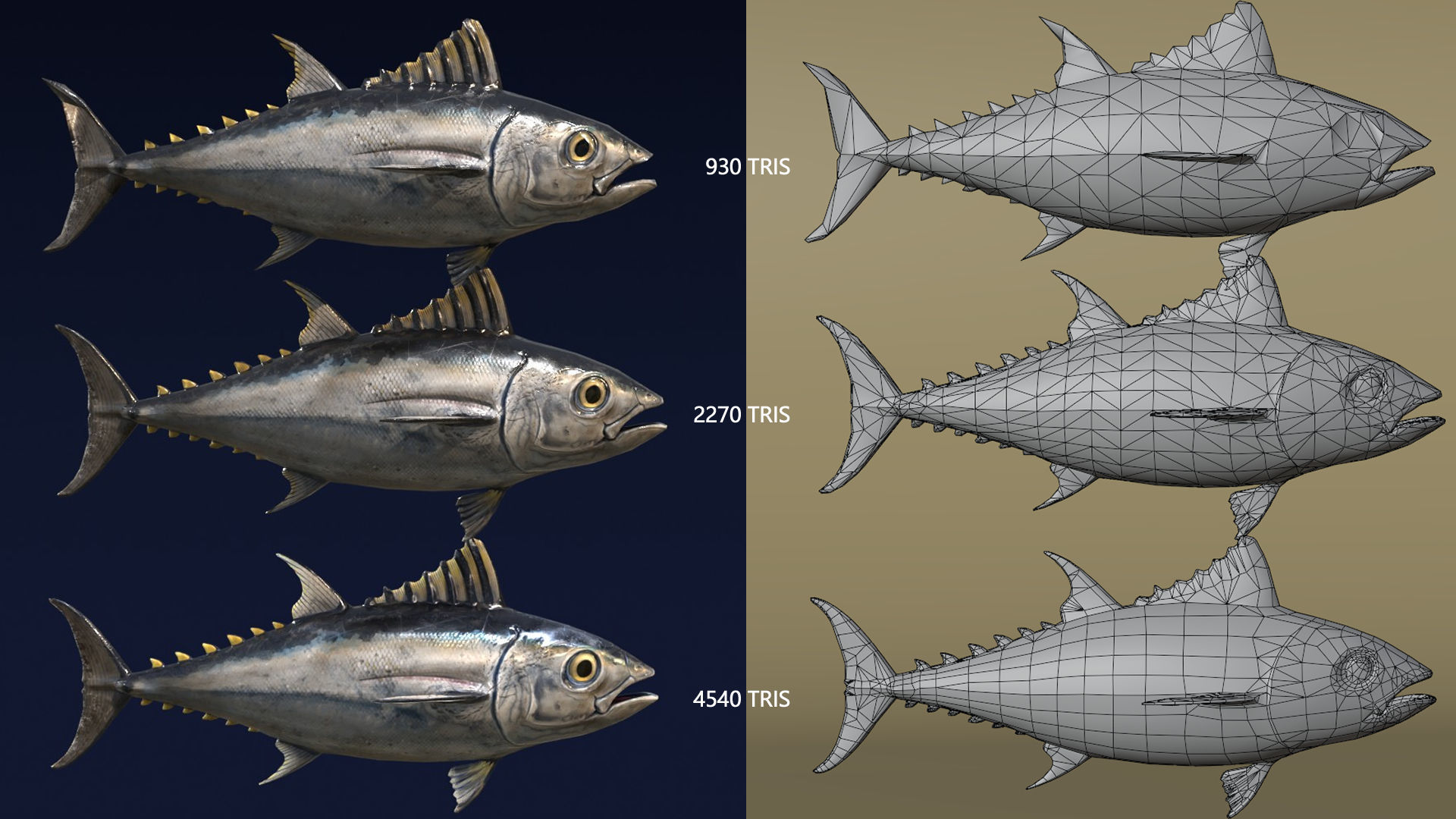 Butchered fish MEGASET 4 models 5 texture variations Low-poly 3D model_14