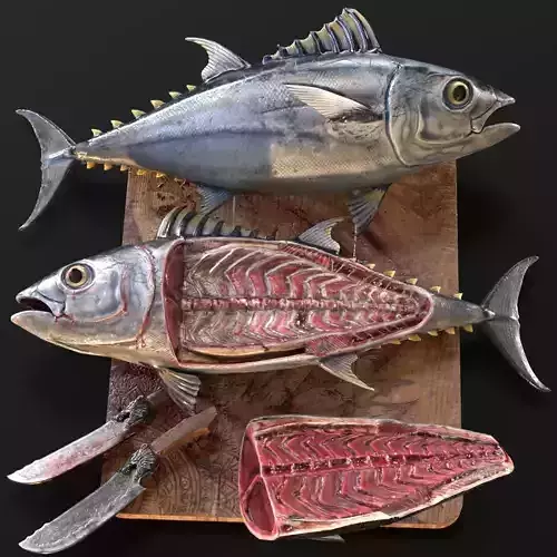 Butchered fish MEGASET 4 models 5 texture variations Low-poly 3D model