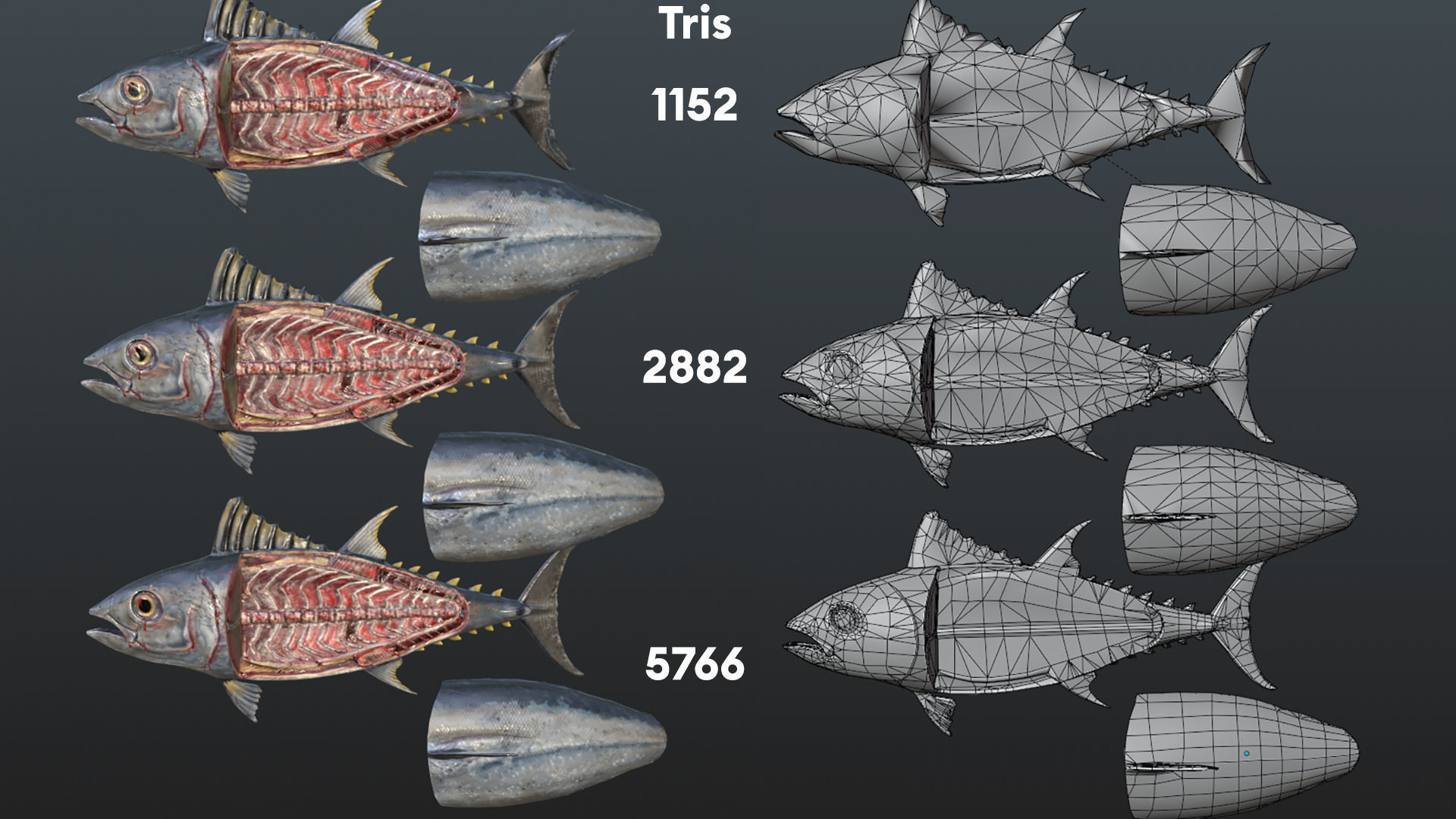 Butchered fish MEGASET 4 models 5 texture variations Low-poly 3D model_15